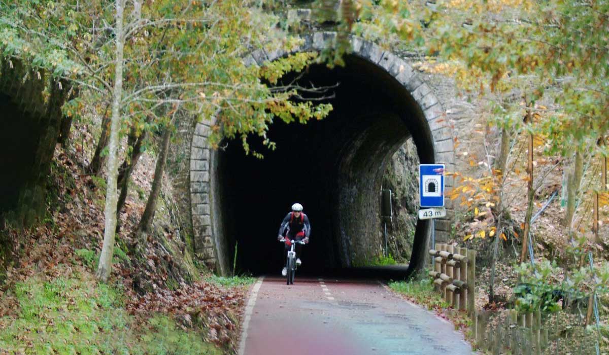 Ecopista do Vouga inaugurada atravessa quatro municípios